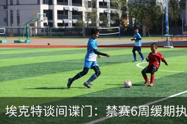 埃克特谈"间谍门"：禁赛6周缓期执行，罚款2.8万镑